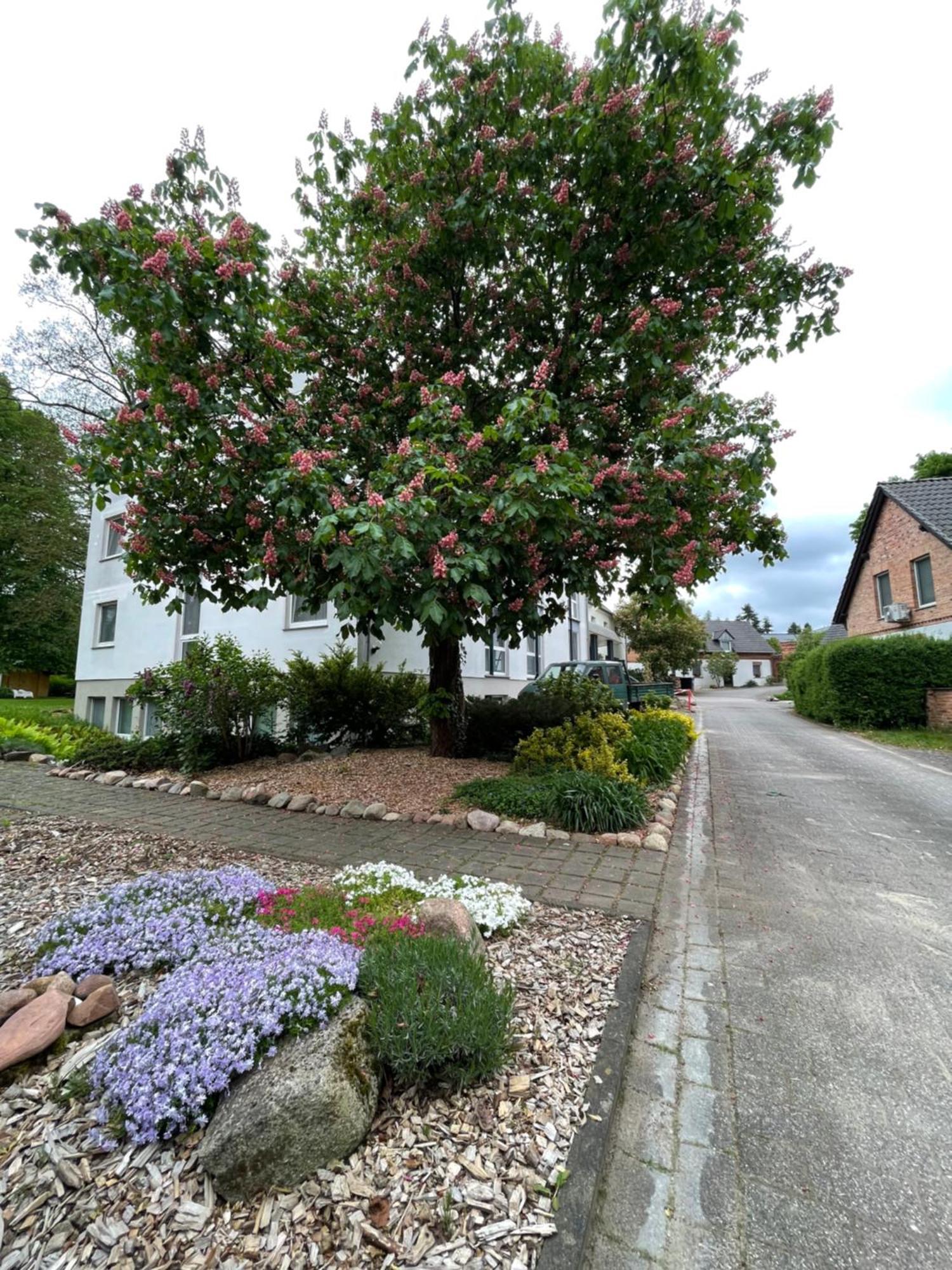 Hotel Luther Birke Wittenberg Zewnętrze zdjęcie