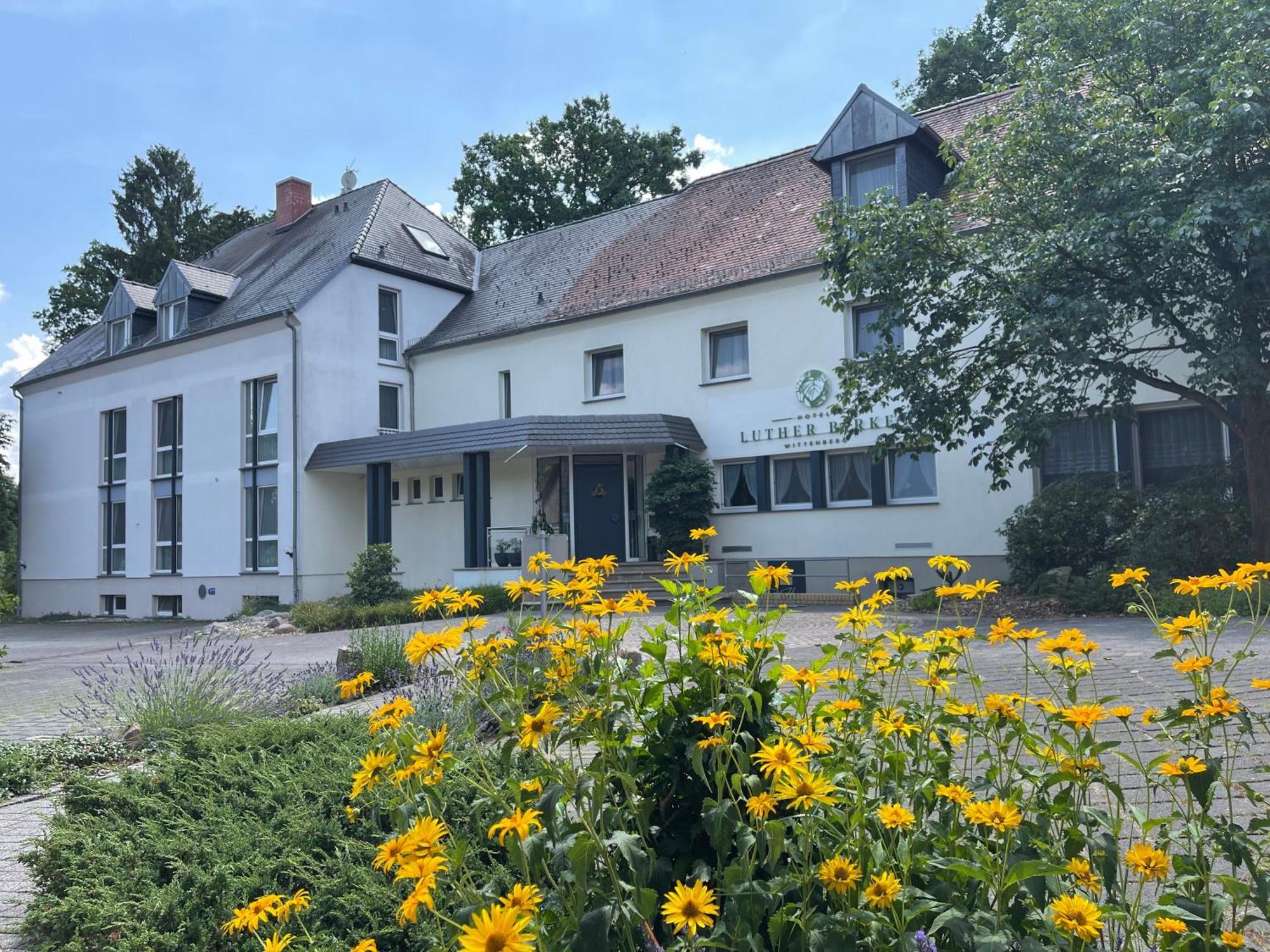 Hotel Luther Birke Wittenberg Zewnętrze zdjęcie